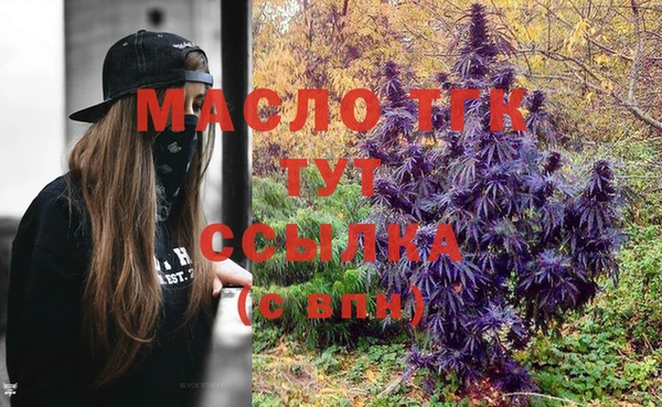 хмурый Аркадак