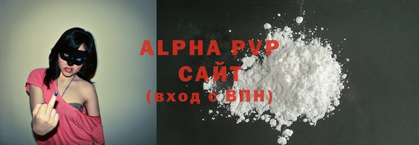 хмурый Аркадак