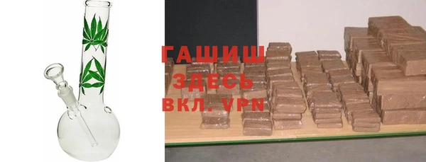 хмурый Аркадак