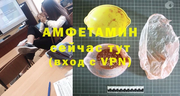 хмурый Аркадак