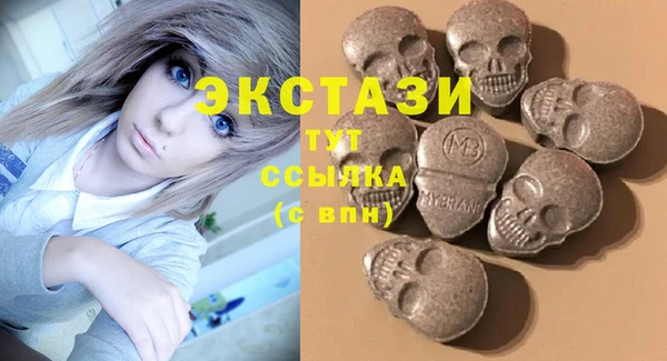 хмурый Аркадак
