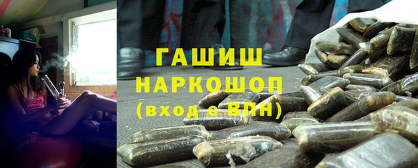 хмурый Аркадак