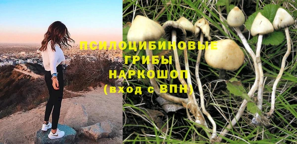 mix Арсеньев