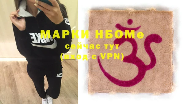 хмурый Аркадак