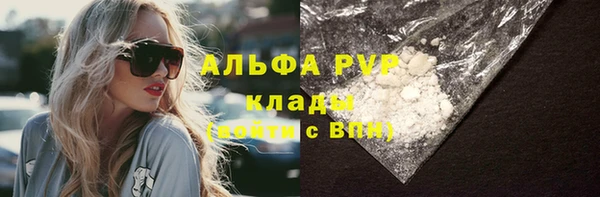 хмурый Аркадак