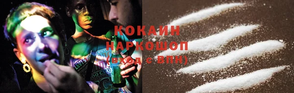 хмурый Аркадак