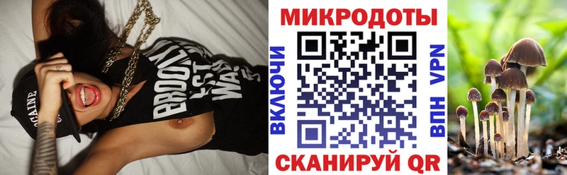 купить наркоту  Канаш  Псилоцибиновые грибы Psilocybe 