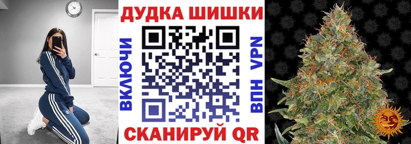 МЕГА зеркало  Канаш  Канабис индика 